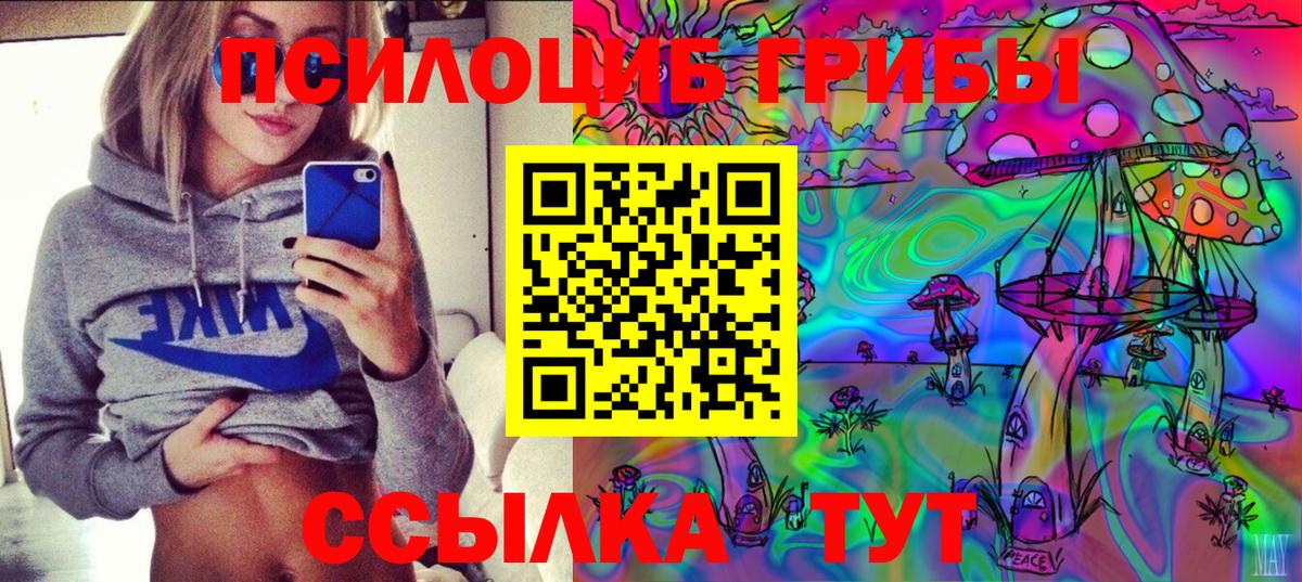 Псилоцибиновые грибы Psilocybe  Вход с VPN  Янаул 